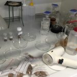 Saving oseberg lab
