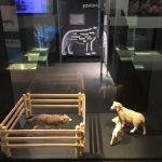 3 Elises tekst Foto Elise Lund