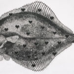 TFK.0648 | Karl-Gustav Gjertsen | Fish you were here