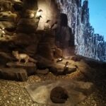 Svalbard museum – alt er i endring