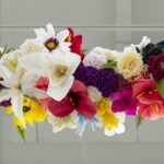 2025_06_Nitja_Taterlandet_Papirblomster