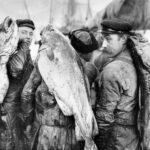 Tre digre skrei, Andreas Wilse 1910